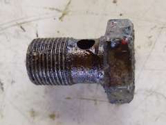 Hollow Screw