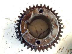 Gear Wheel