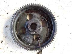 Gear Wheel