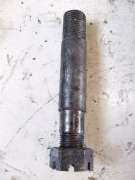 Bolt with Castellated Nut