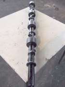 Camshaft (W4V)