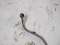 Leakage Fuel Pipe