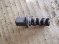 Screw