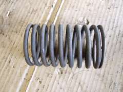 Valve Spring