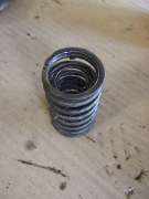 Valve Spring