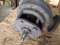 Centrifugal Pump, Complete