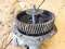 Fuel Pump Drive